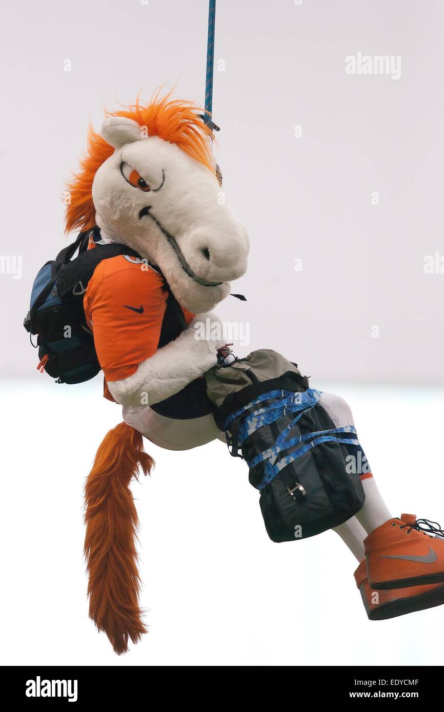 Denver, Colorado, USA. 11th Jan, 2015. Broncos Mascot Miles zip lines on to the field at the start of the game during the 1st. Half at Sports Authority Field at Mile High Sunday afternoon. The Colts beat the Broncos 24-13. Credit:  Hector Acevedo/ZUMA Wire/Alamy Live News Stock Photo