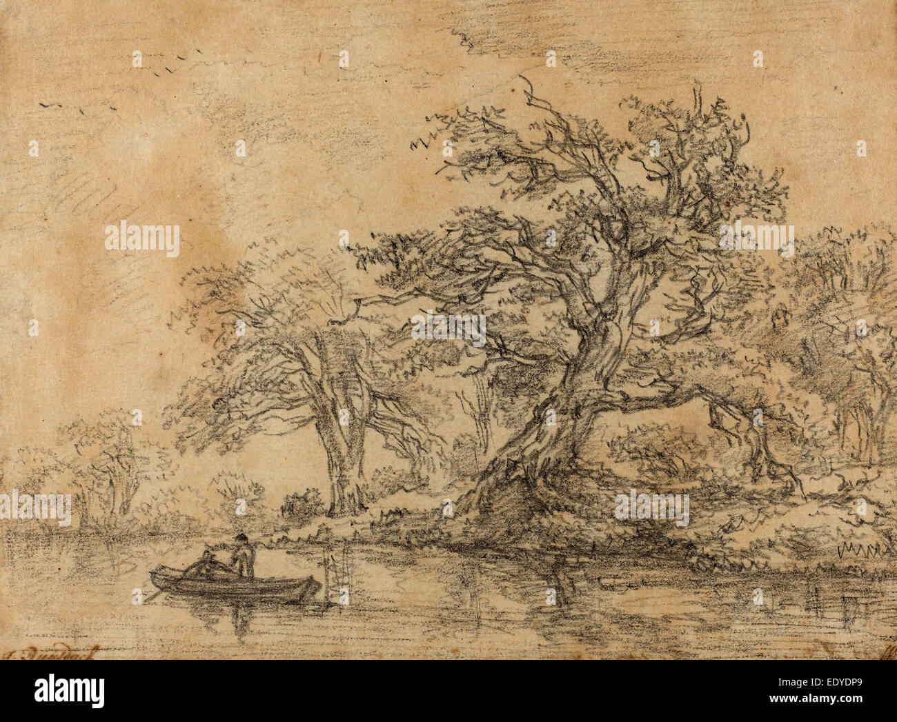 1628-1629 - 1682), Old Trees along a Bank, late 1640s, black chalk