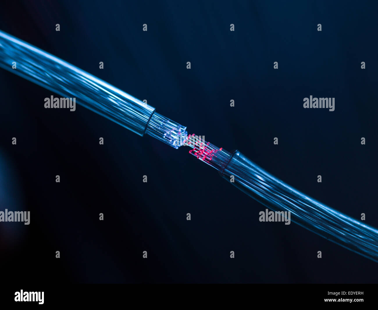 two fiber optic cables connecting Stock Photo Alamy