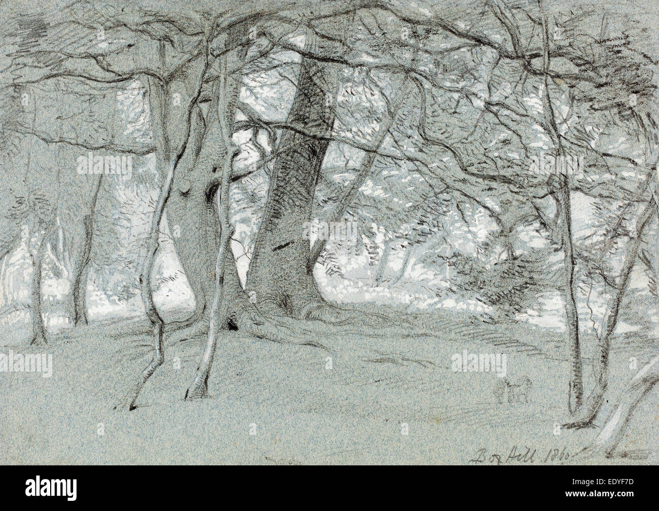 Sir William Blake Richmond (British, 1842 - 1921), Trees at Box Hill, 1860, black chalk and graphite heightened with white Stock Photo