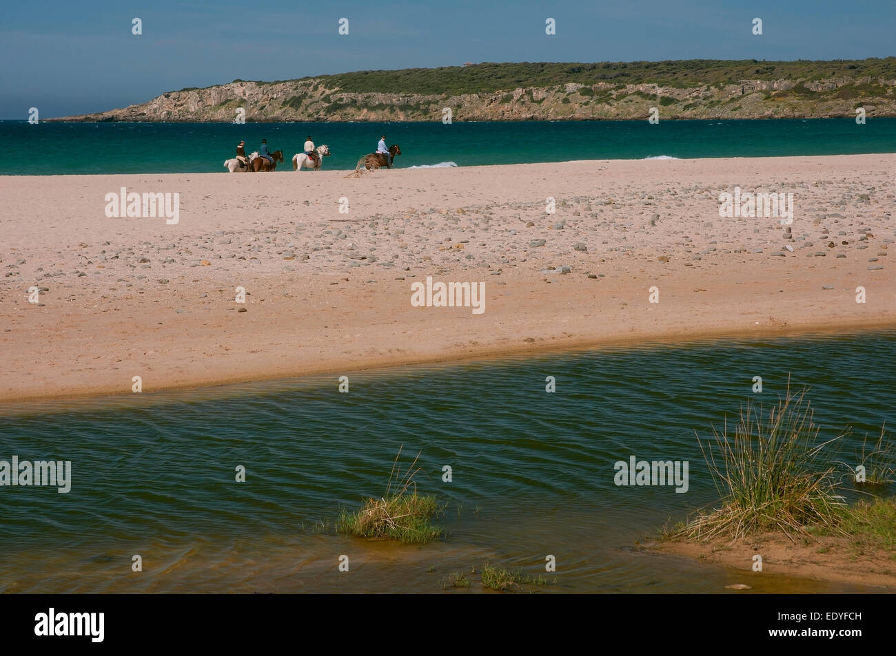 Bolonia beach and horses, Tarifa, Cadiz province, Region of Andalusia, Spain, Europe Stock Photo