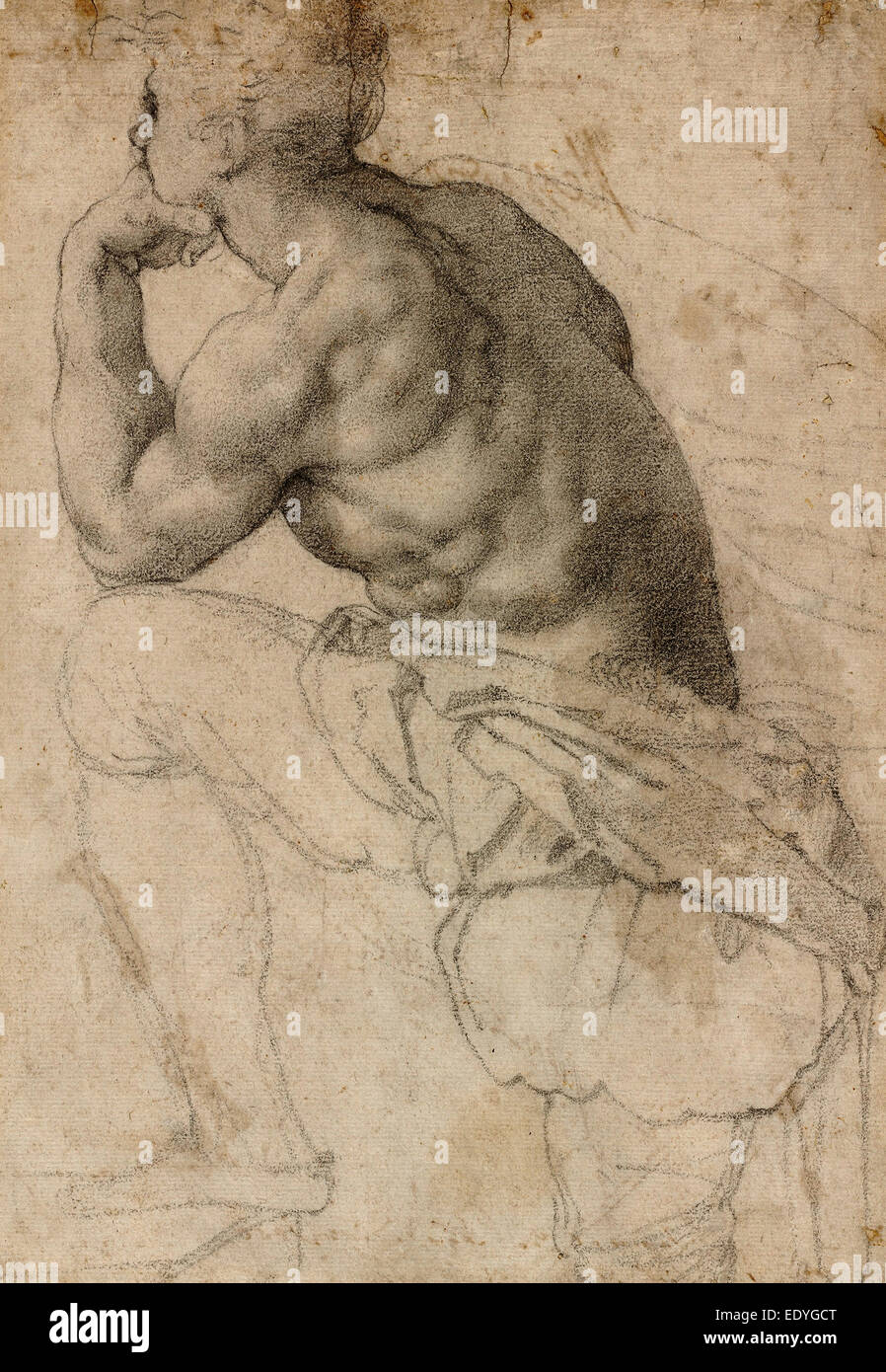 Alessandro Allori, A Pearl Diver, Italian, 1535 - 1607, c. 1570, black chalk on laid paper Stock Photo