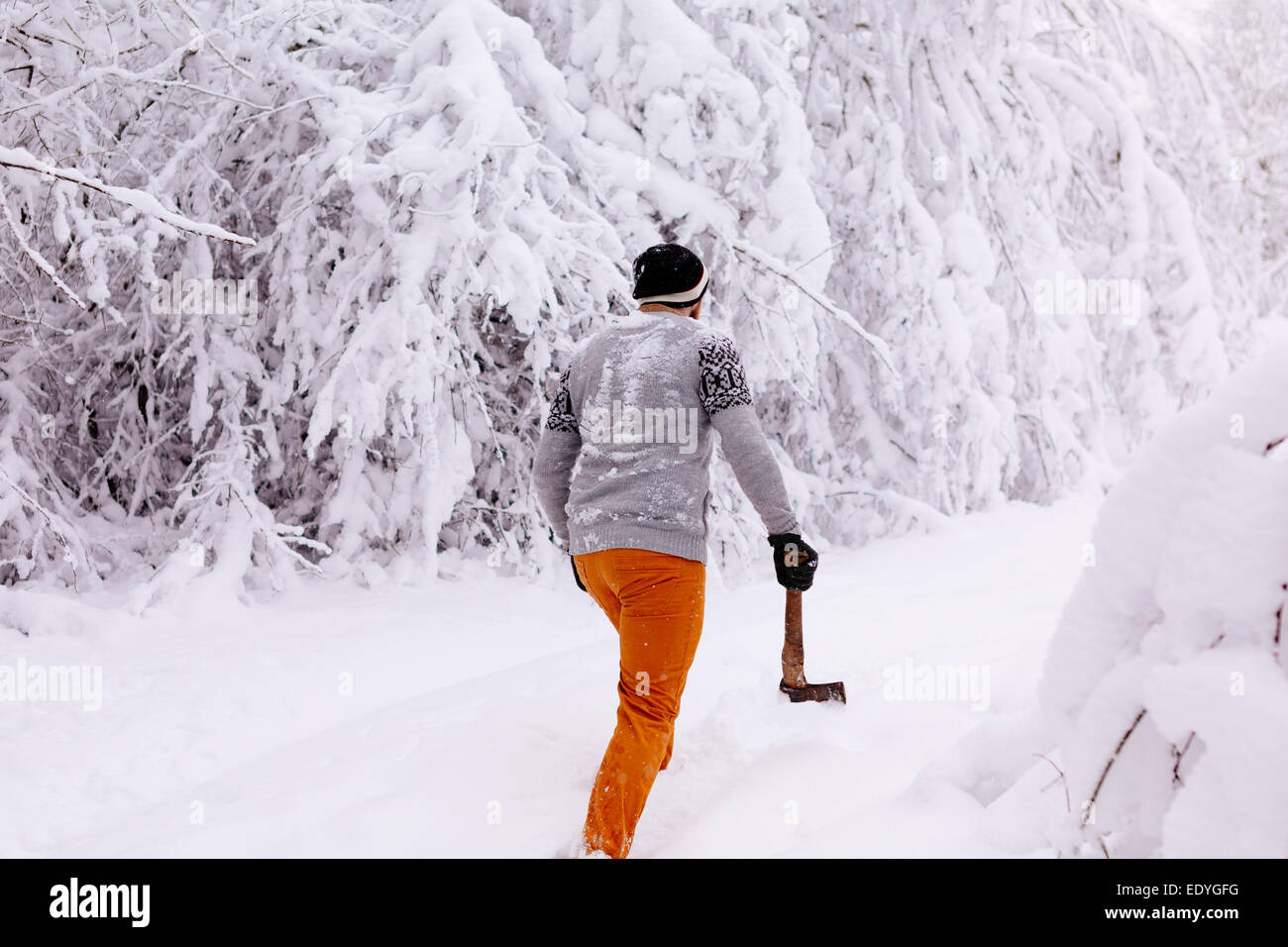 Stylish man beard walks hi-res stock photography and images - Alamy