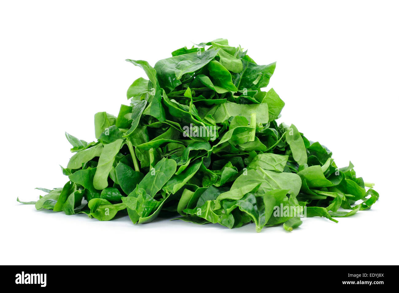 closeup of a pile of chopped raw chard leaves on a white background Stock Photo