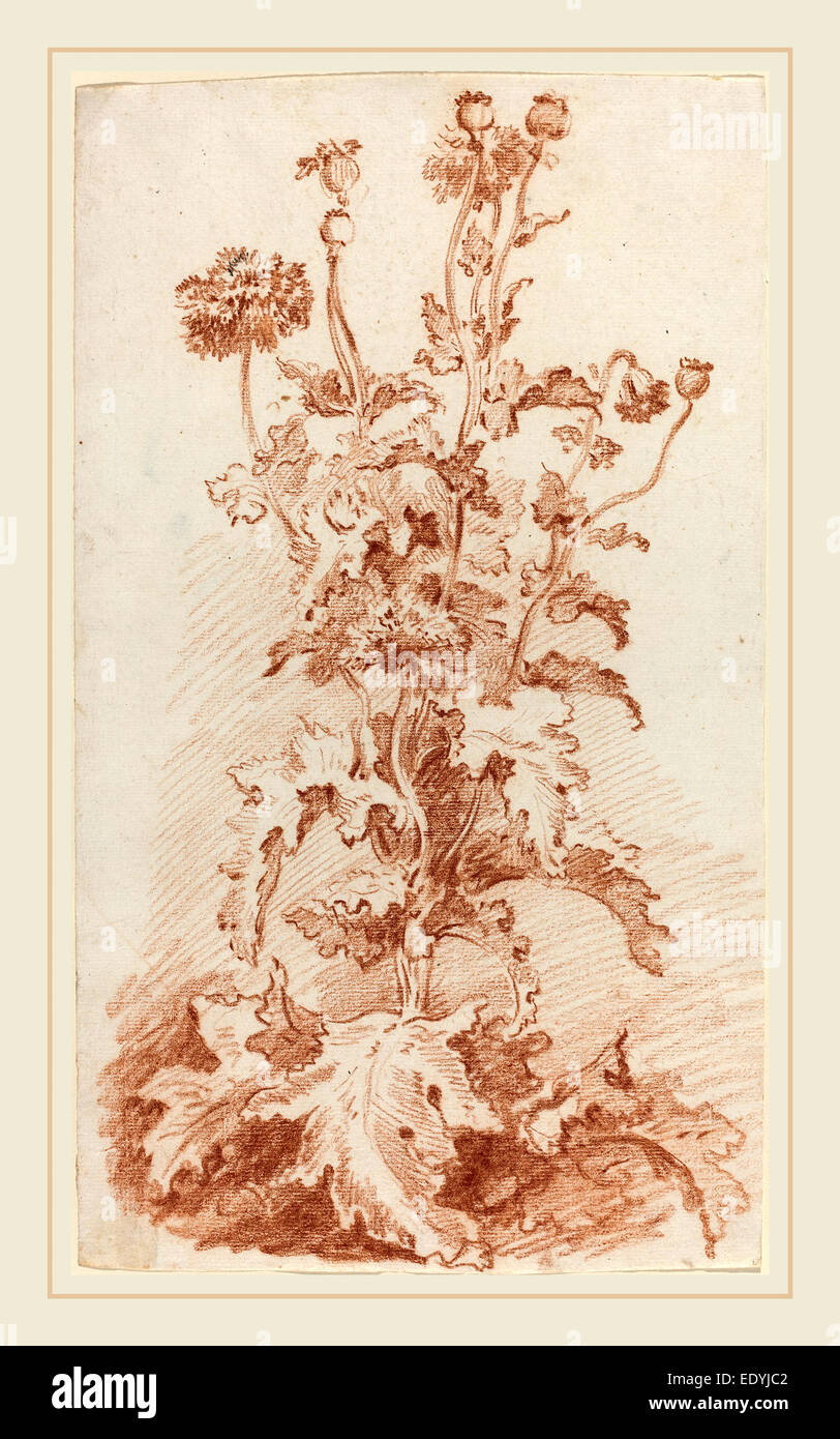 Jean-Baptiste Hüet, I, French (1745-1811), Poppies with Seed Pods, mid 1760s, red chalk on laid paper Stock Photo