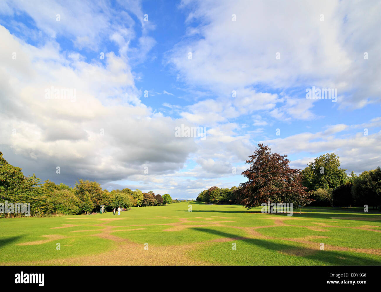 Beautiful park on territory of Kilkenny Castle Stock Photo