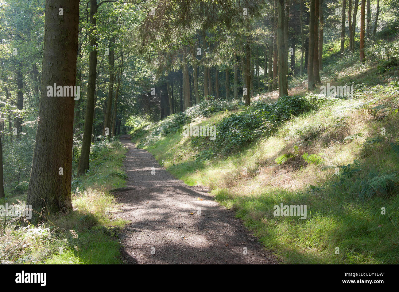 Hazy morning sunlight on a footpath beside Ladybower reservoir in the Peak District, Derbyshire. Stock Photo