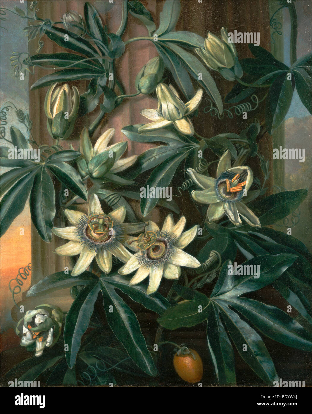Edouard Manet /'Vase of Peonies 1864/' Rolled Canvas Art 14 x 19