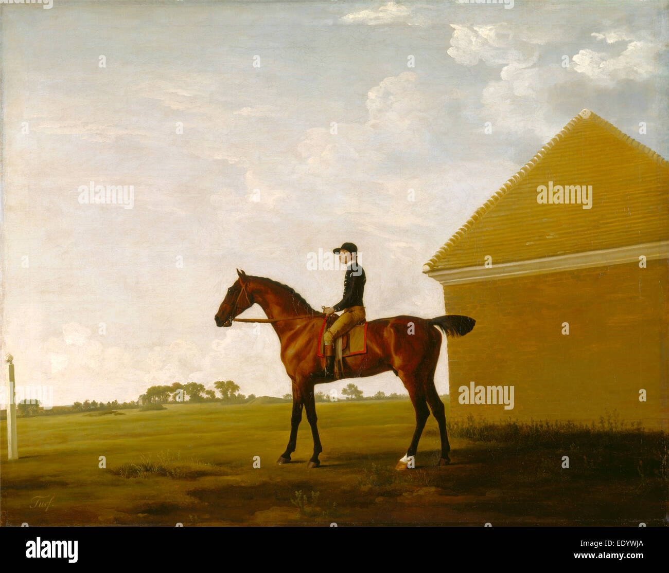 Turf, with Jockey up, at Newmarket Portrait of 'Turf' with Jockey up Inscribed lower left: 'Turf', George Stubbs, 1724-1806 Stock Photo