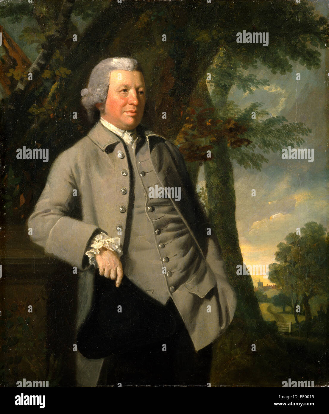 A Country Gentleman, Henry Walton, 17461813, British Stock Photo Alamy