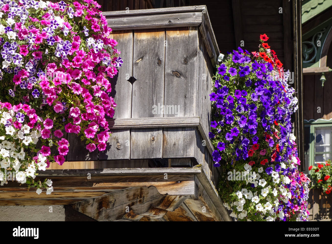 Kochel am See, Kochelsee, Balkonblumen an einem Bauernhaus, Bayern, Oberbayern, Deutschland, Europa, Balcony Flowers at a Farmho Stock Photo