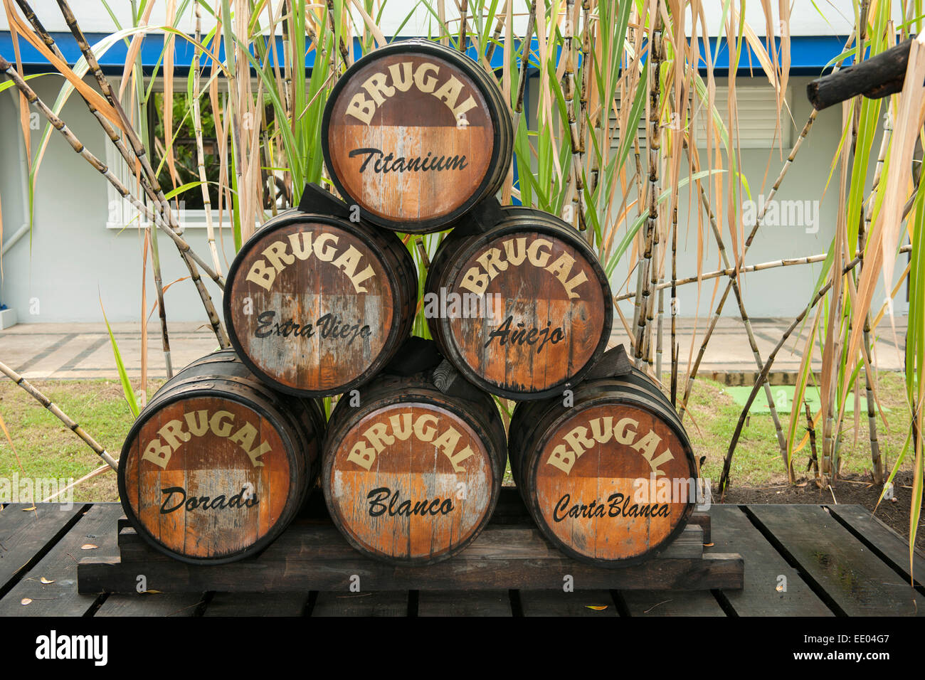 Dominikanische Republik, Norden, Puerto Plata, Brugal Rum-Fabrik Stock Photo