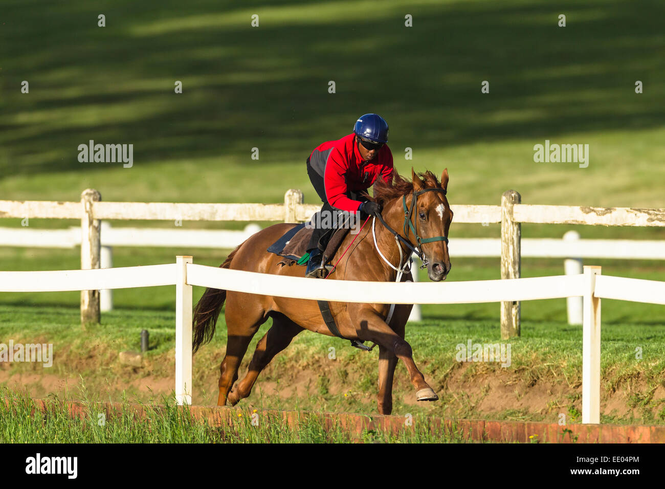 Race Horse Rider Jockey Training Tracks Dawn Colors Running Closeup race-horse-rider-jockey-training-tracks-dawn-colors-running-closeup