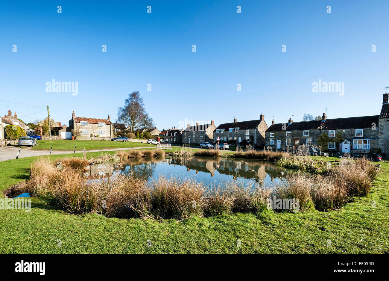The village pond at Newton upon Rawcliffe village Stock Photo