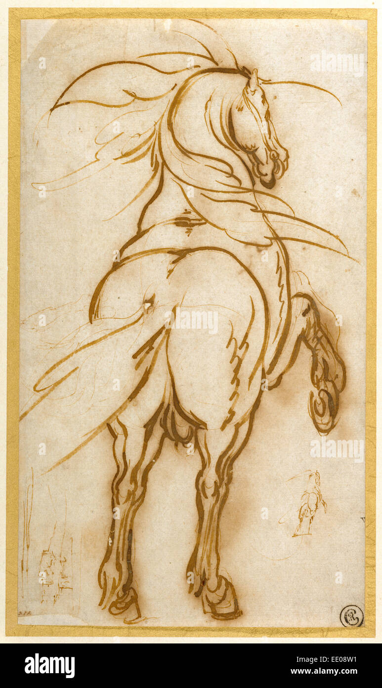 Study of a Rearing Horse; Jacques Callot, French, 1592 - 1635; about 1616; Quill and reed pens and brown ink Stock Photo