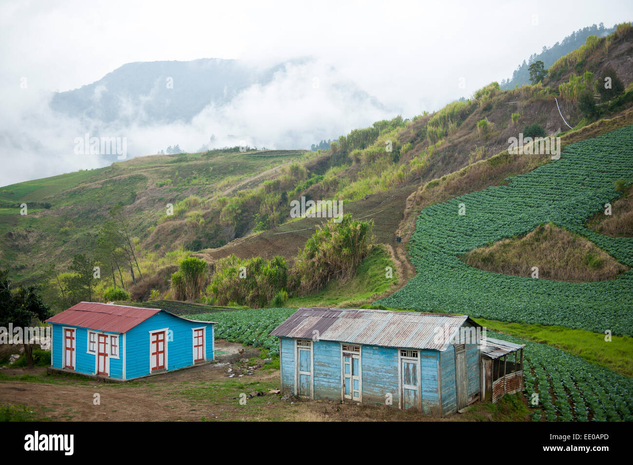 Dominikanische Republik, Cordillera Central, San Jose de Ocoa, an der