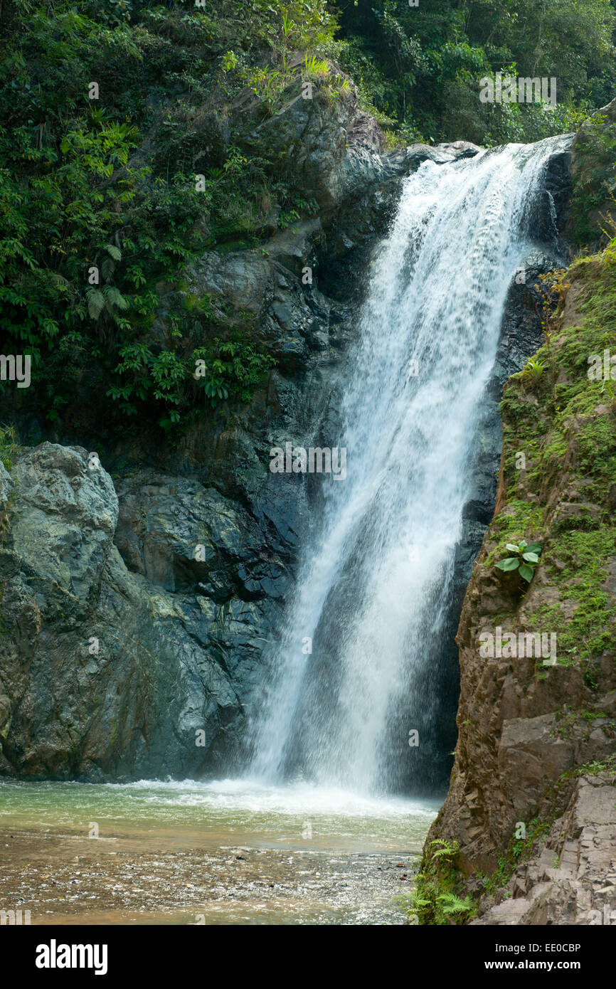 Dominikanische Republik, Cordillera Central, Jarabacoa, Wasserfall Salto Baiguate Stock Photo