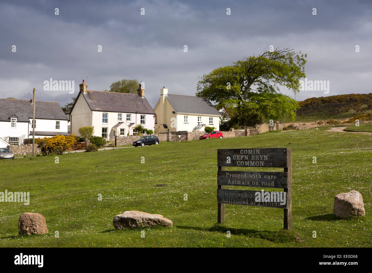 UK, Wales, Swansea, Gower, Reynoldston village at edge of Cefn Bryn