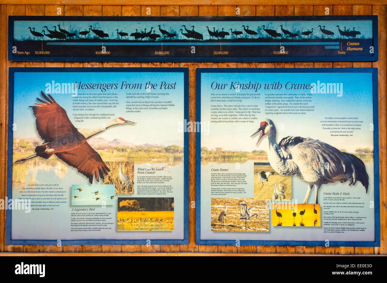 Interpretive display at Bosque del Apache National Wildlife Refuge, New Mexico USA Stock Photo