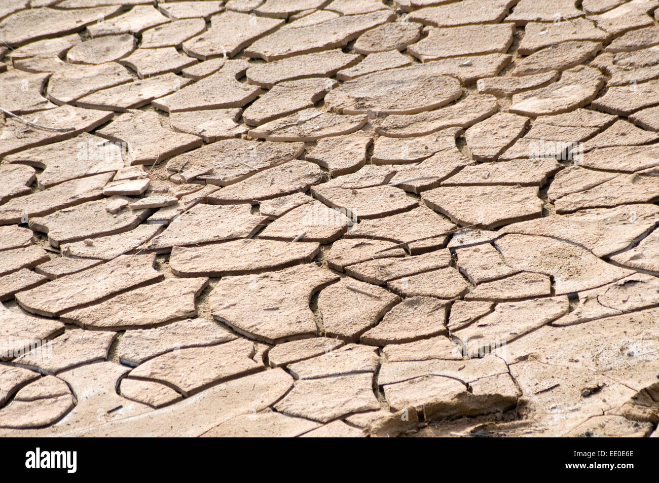 dry ground parched soil cracked earth crack cracks drought droughts hot