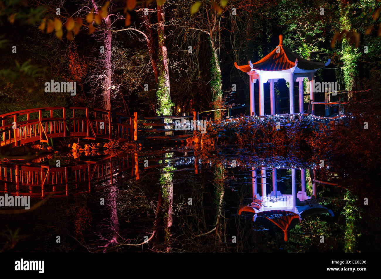 The Electric Woods, Robin Hill, Isle of Wight. Stock Photo