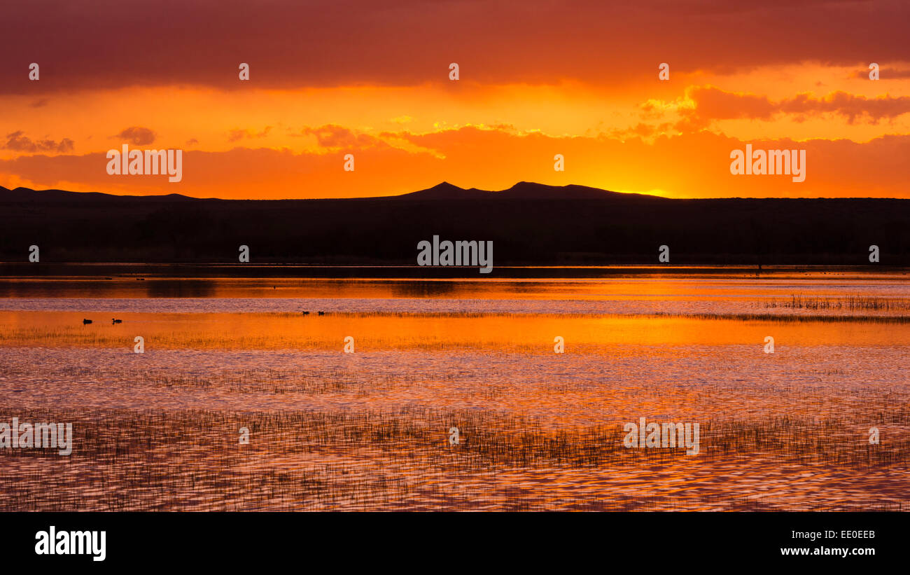 Wetlands at sunrise, Bosque del Apache National Wildlife Refuge, New