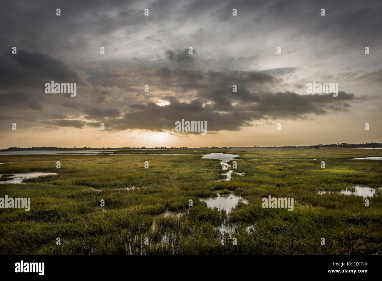 Pagham Harbour Nature Reserve near Chichester, West Sussex, UK Stock Photo