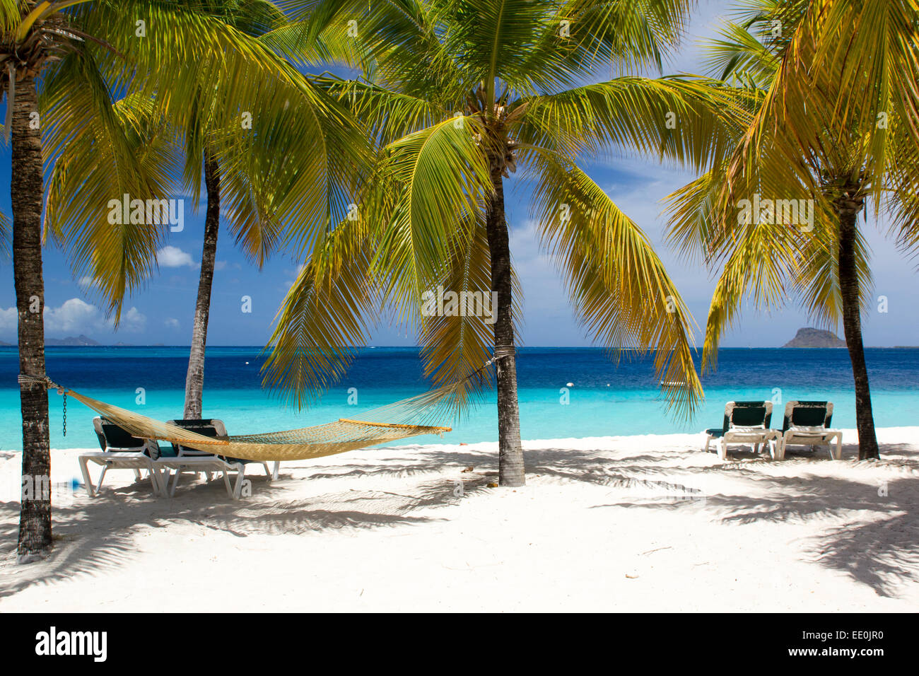 Stunning Tropical Beach Scene with Hammock, Sun Loungers Palm Trees with Shadows and Amazing Caribbean View. Stock Photo