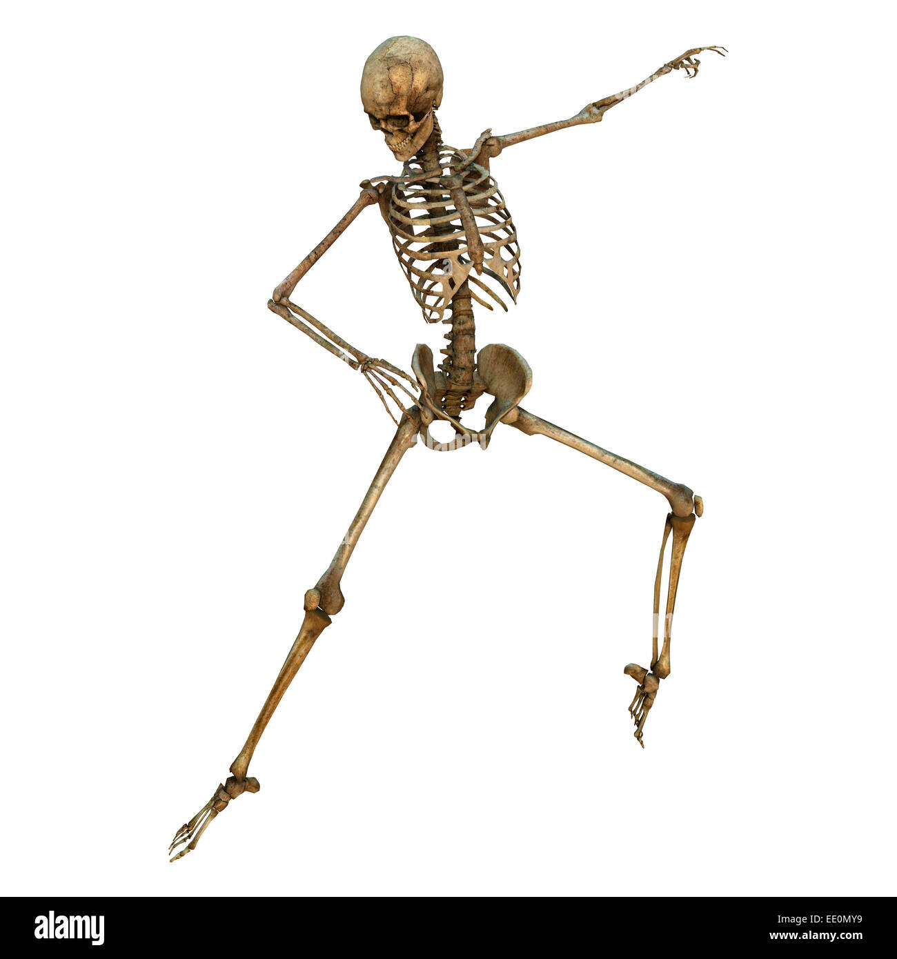 3D digital render of a human dancing skeleton isolated on white background Stock Photo