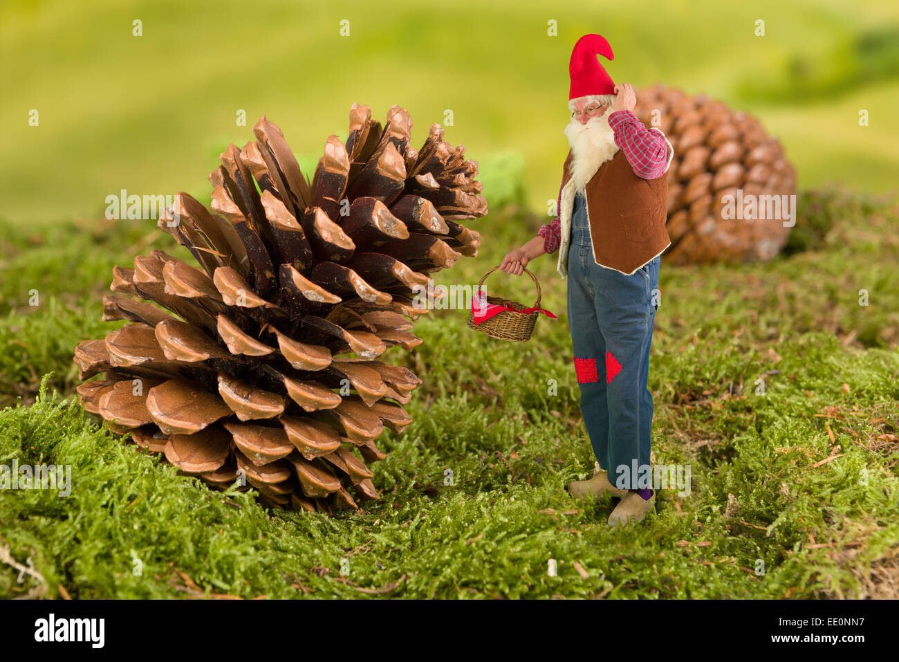 Old garden gnome with miniature basket standing in front of a pinecone Stock Photo