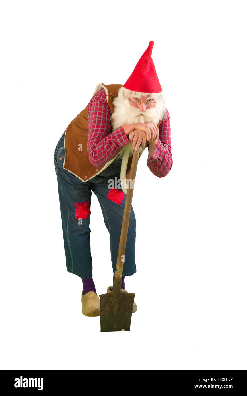 Senior garden gnome with beard and shovel Stock Photo