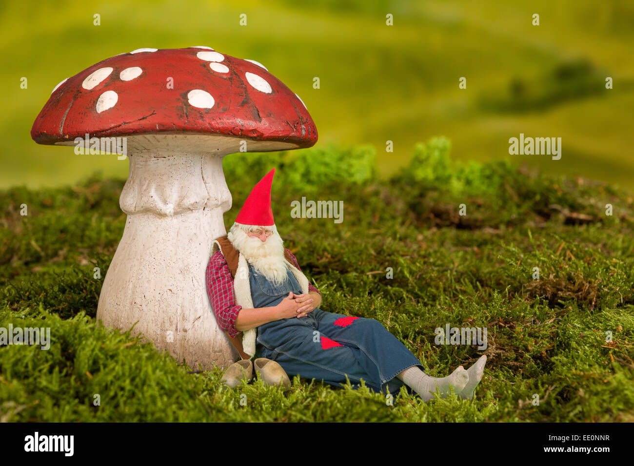 sleepy-garden-gnome-lying-under-a-fairy-tale-toadstool-EE0NNR.jpg