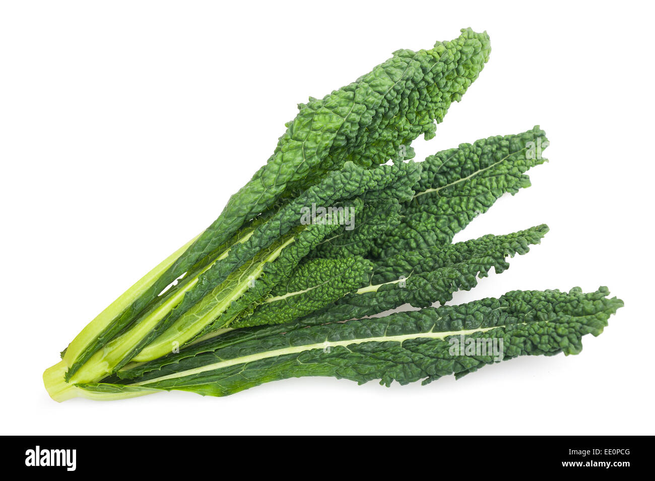 black cabbage, italian kale isolated on white background Stock Photo