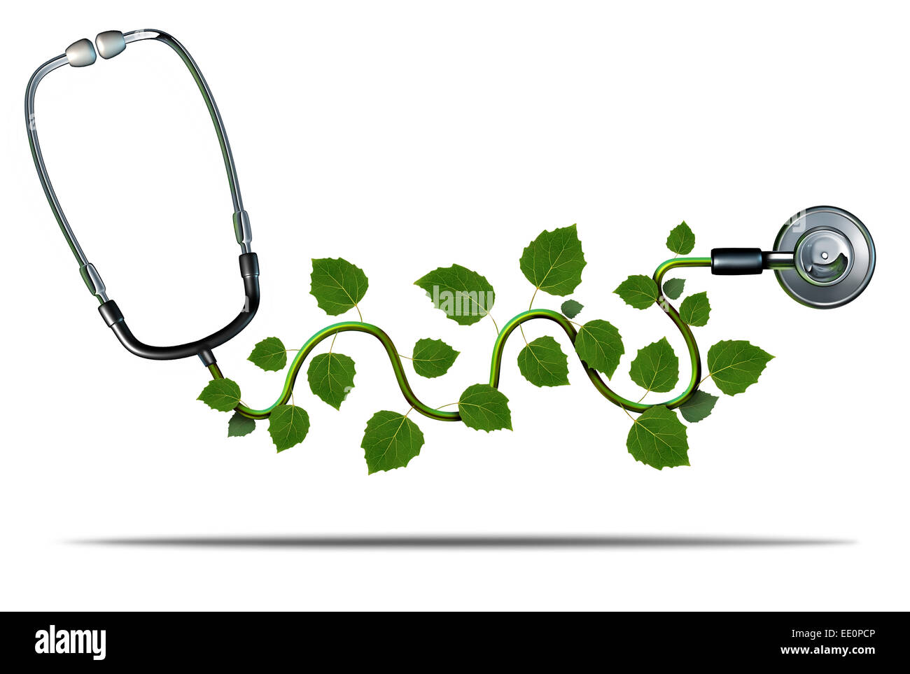 Natural medicine and alternative therapy concept as a doctor stethoscope with plant leaves growing on the medical equipment as a Stock Photo