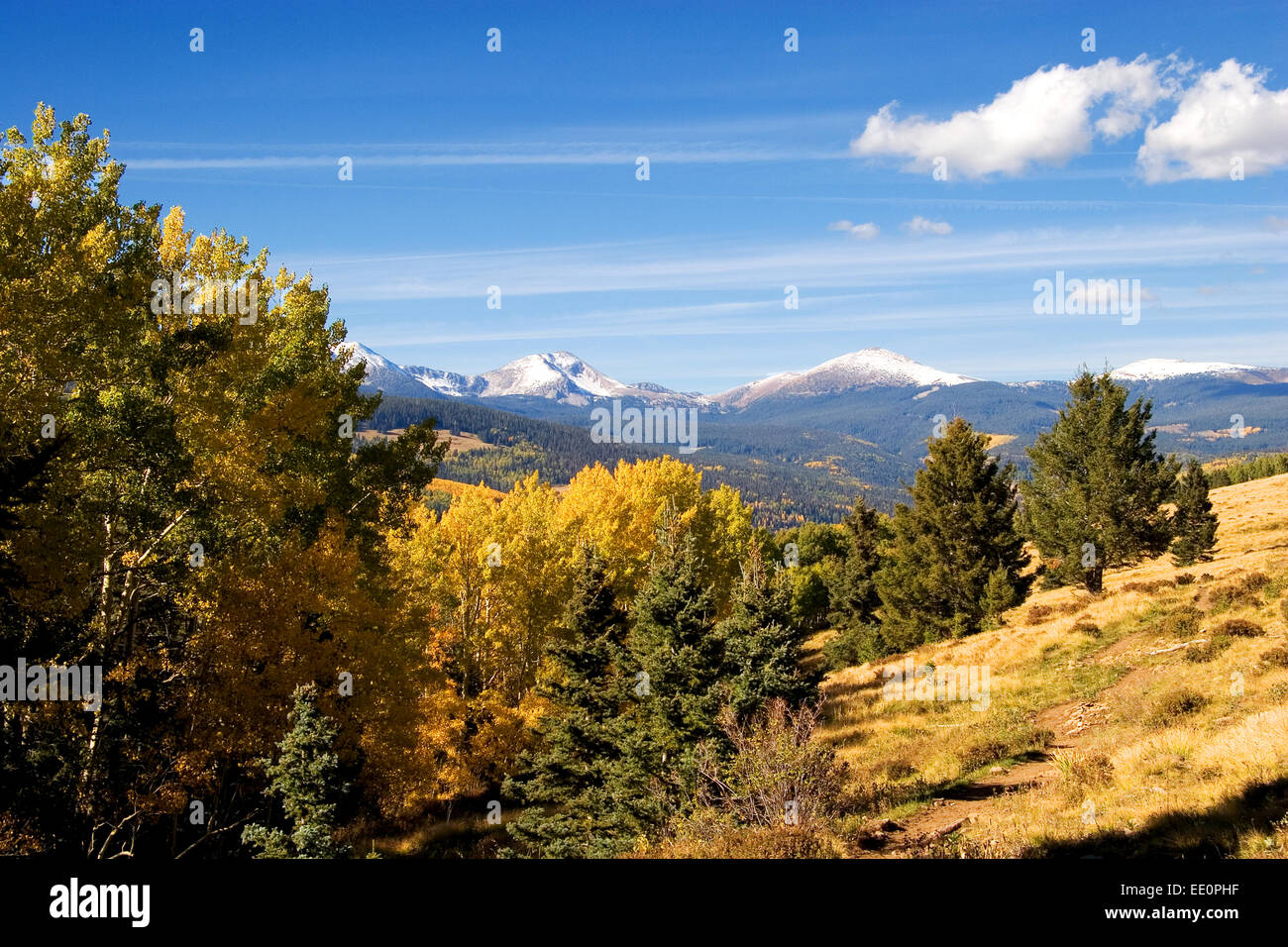 Hamilton Mesa, Pecos Wilderness in the Santa Fe National Forest, New