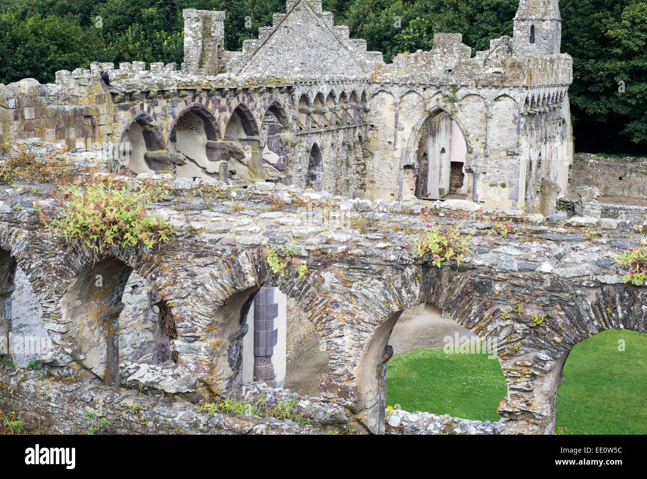 The ruins of St Davids Bishops Palace located adjacent to St Davids Cathedral in the city of St Davids, Wales Stock Photo