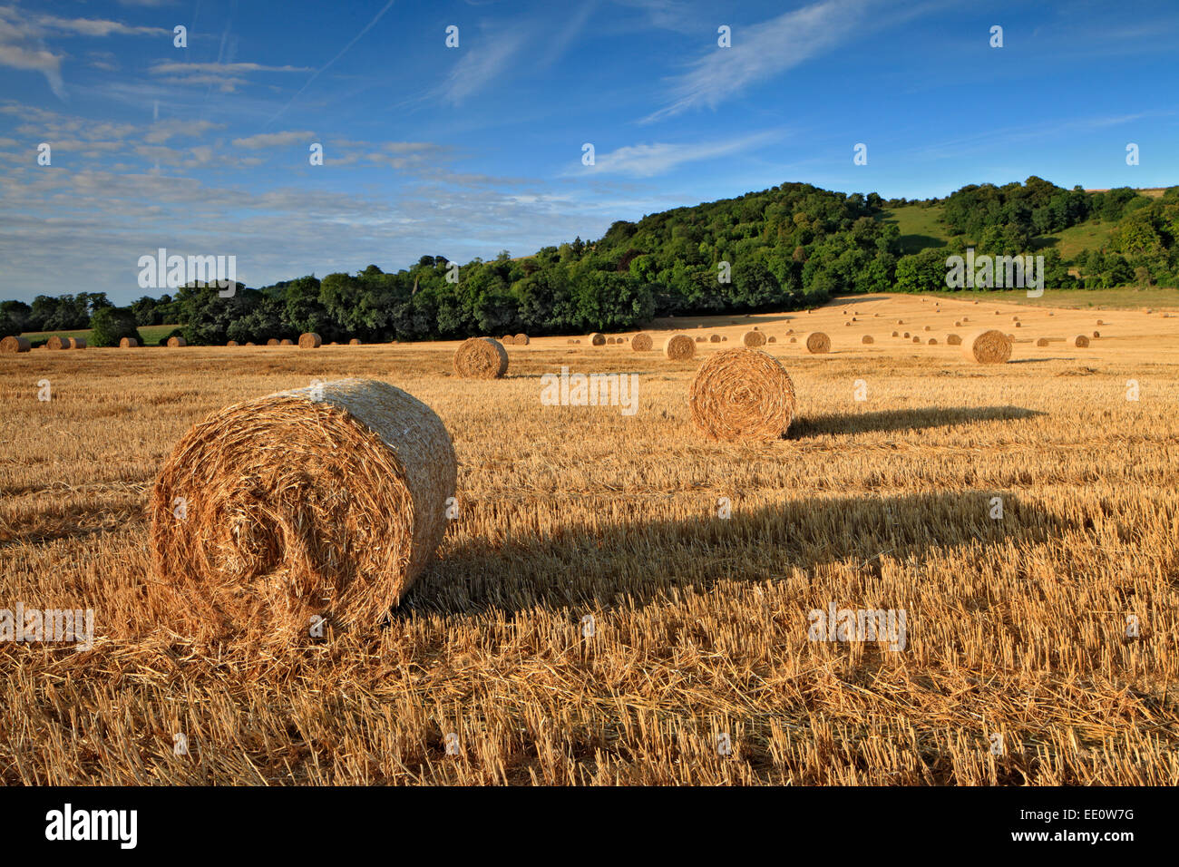 Straw bales in a findon valey field, Findon, West Sussex Stock Photo