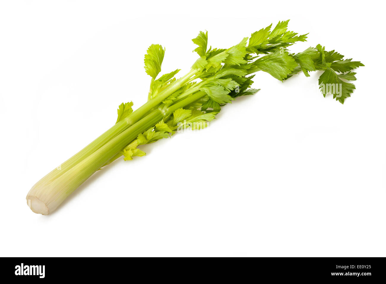 Celery sprig isolated on white background Stock Photo Alamy