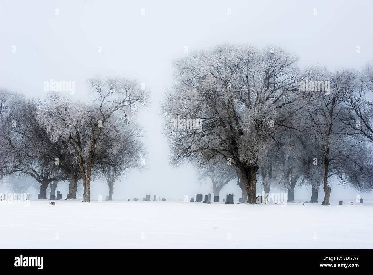 Gravestones in the North Powder Oregon cemetery on a foggy winter day. Stock Photo