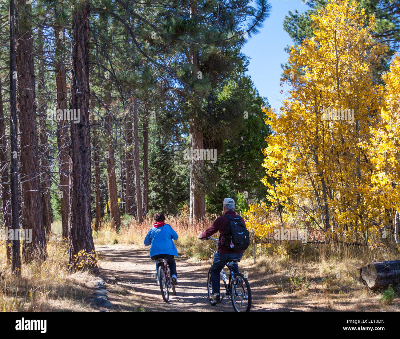 Tourists go bicycling at South Lake Tahoe in autumn on paths near Kiva Beach Stock Photo