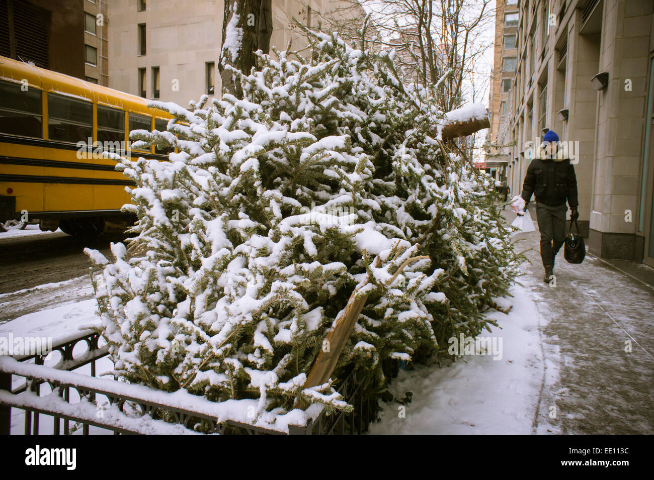 New york trash pickup park High Resolution Stock Photography and Images