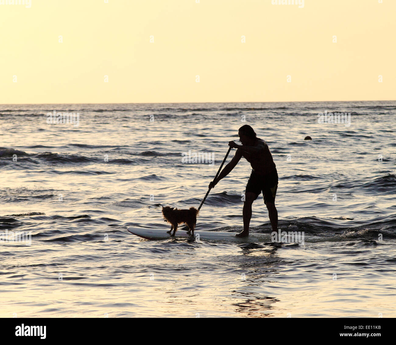 Kauai resident Keoni Durant and his dog   in Hanalei Bay Stock Photo