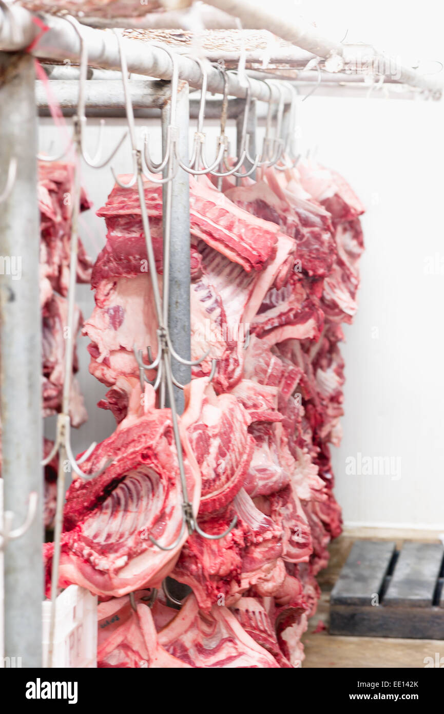 abattoir hanging from metal hooks on rail in cold room on meat industry Stock Photo