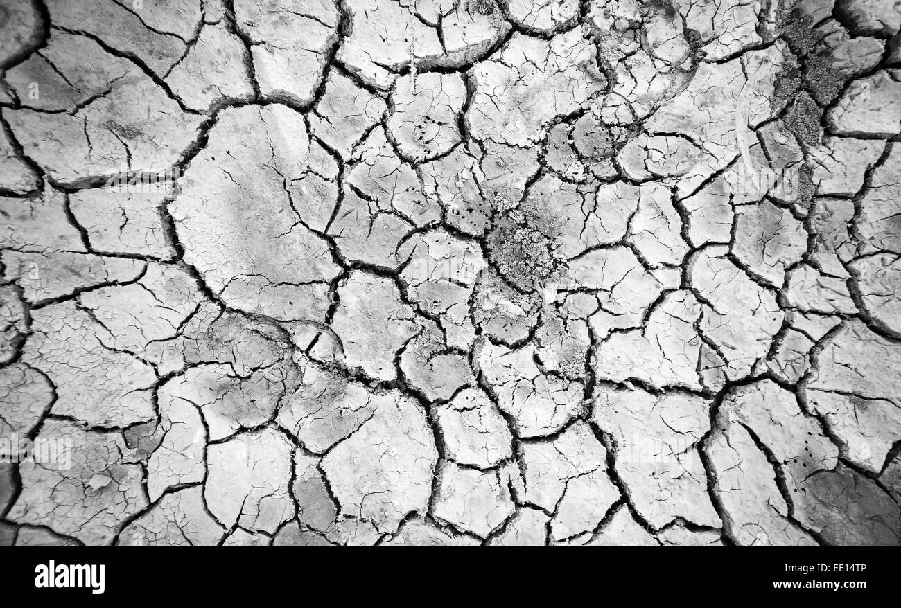Dry land. Cracked ground background and texture. Stock Photo