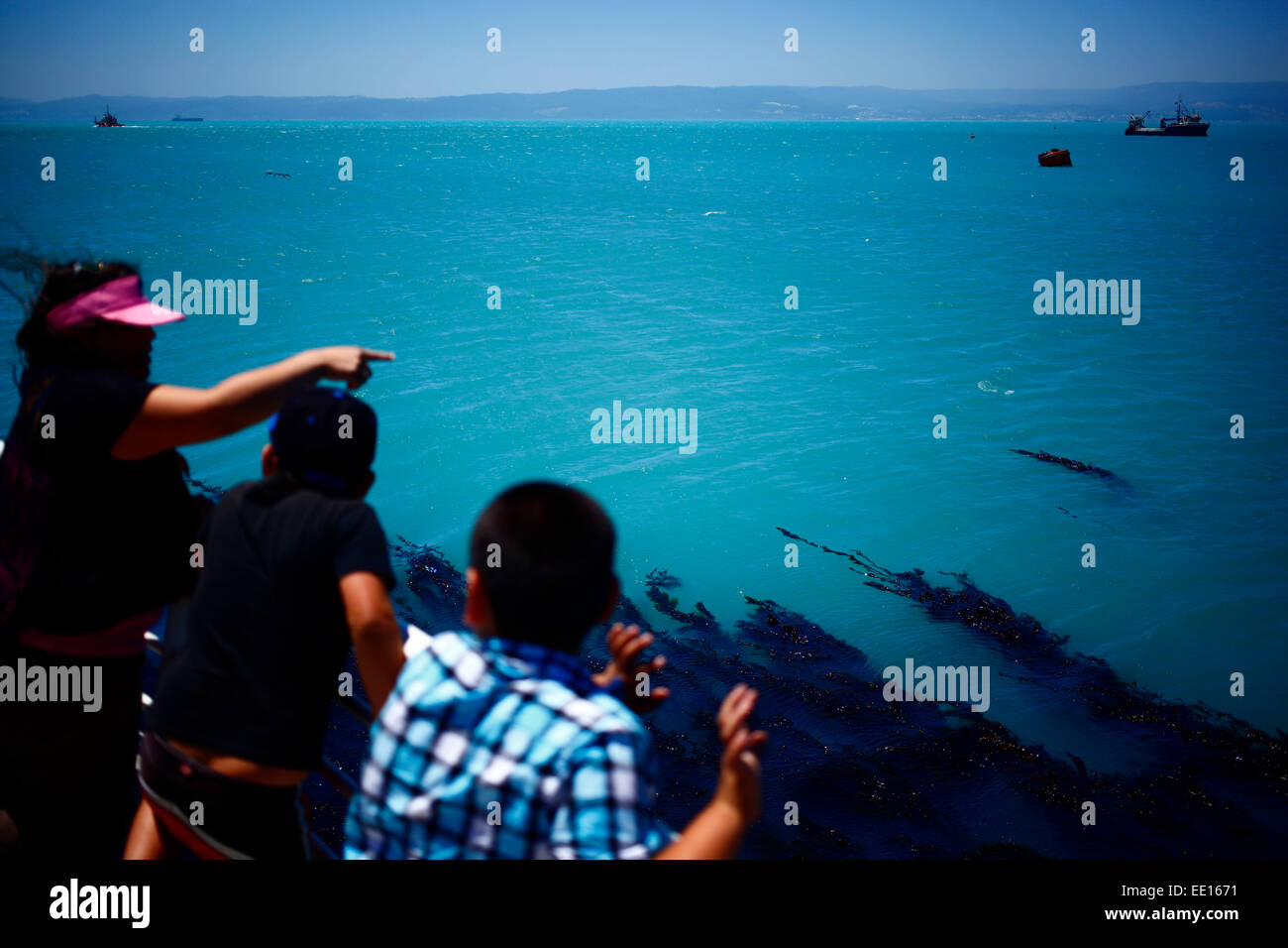 Talcahuano, Chile. 12th Jan, 2015. People watch the water of the Bay of Concepcion, in Talcahuano, in the Biobio region, Chile, on Jan. 12, 2015. According to local press, the waters of the Bay of Concepcion have become turquoise due to low oxygenation of the liquid called 'coastal upwelling'. © Str/Xinhua/Alamy Live News Stock Photo