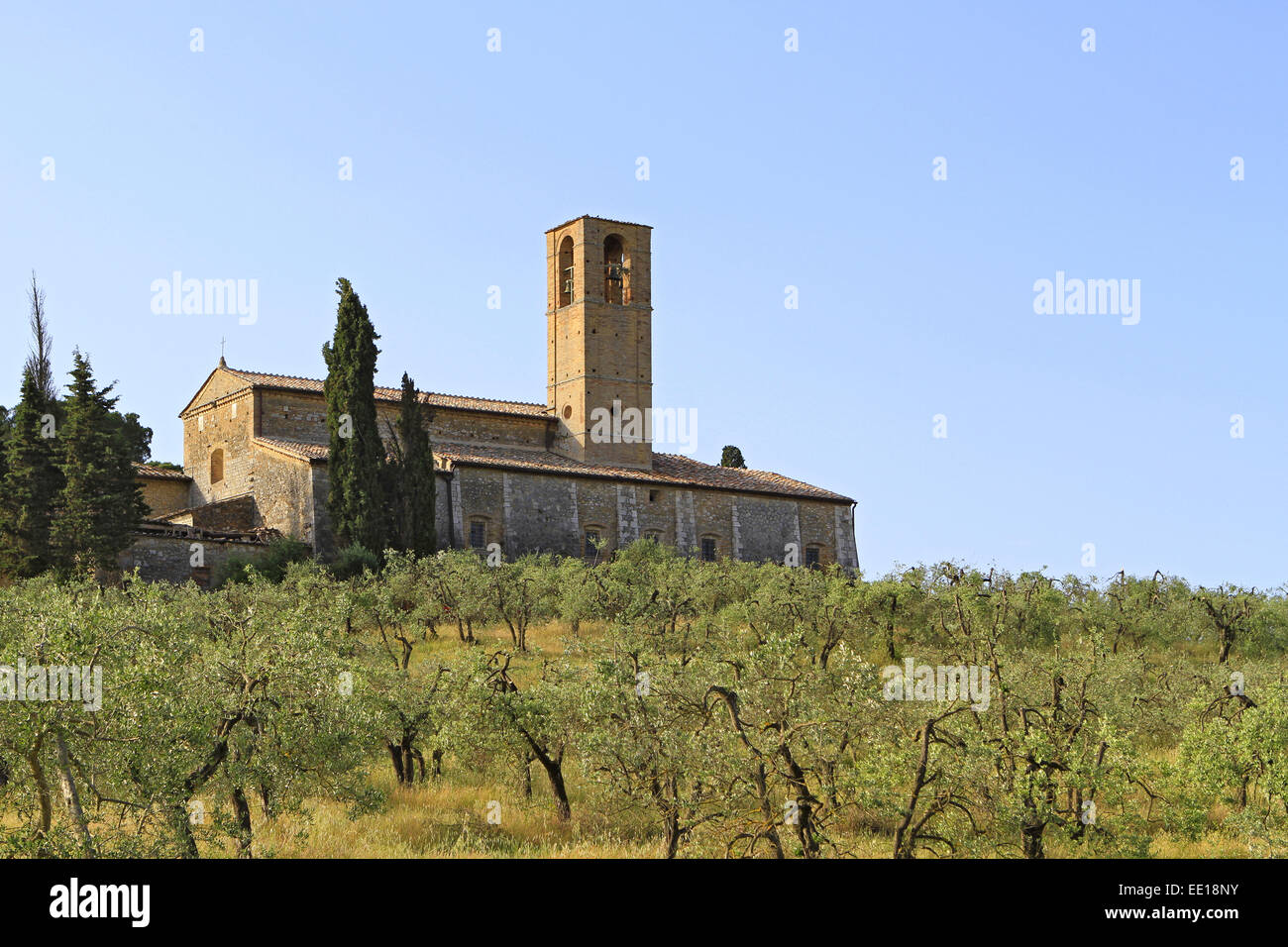 Landschaft in der Toskana, Italien, Landscape in Tuscany, Italy, tuscany, olive, trees, grove, church, landscape, geography, tou Stock Photo
