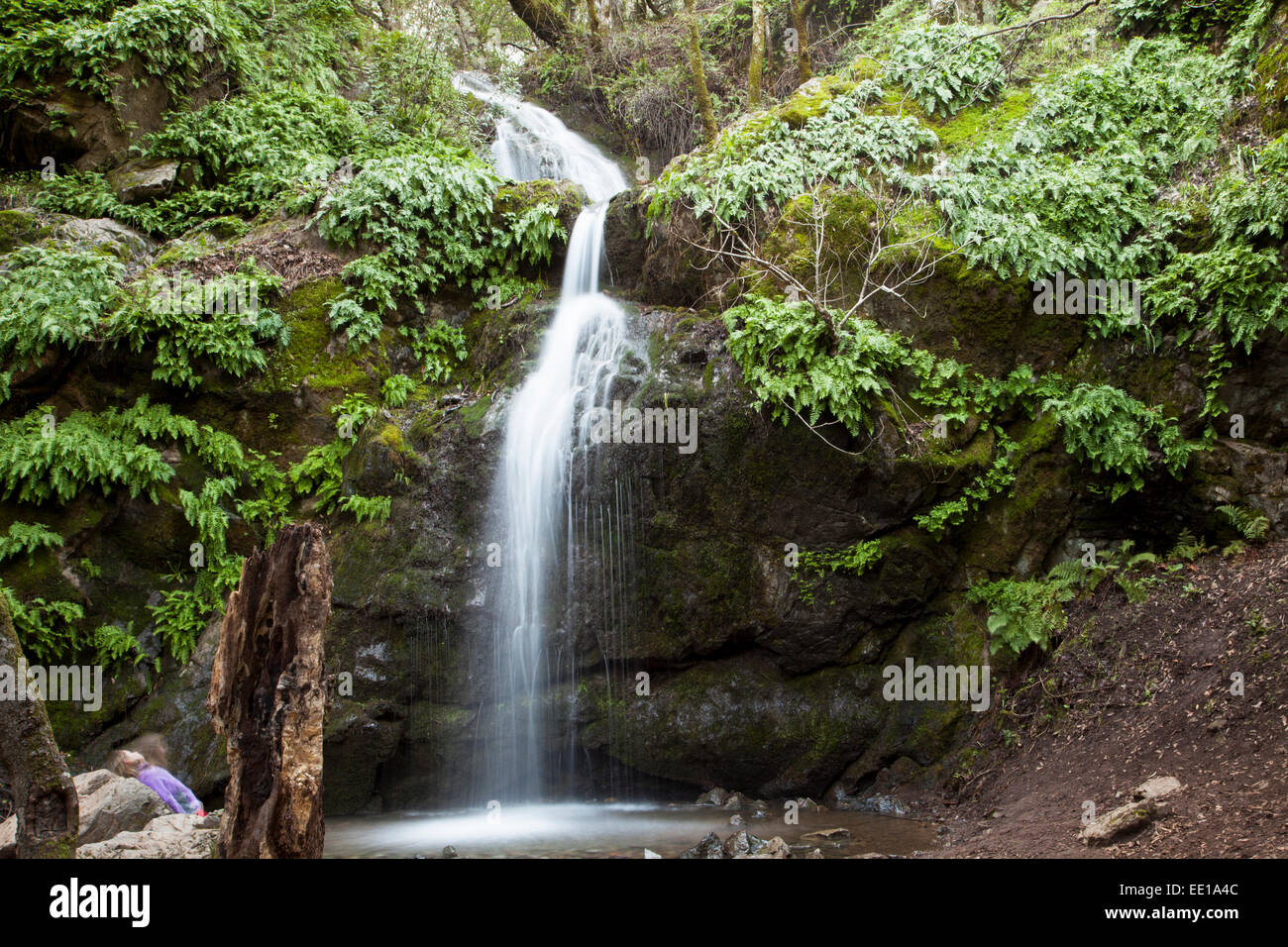 Arroyo de San Jose waterfall, Novato, California, USA Stock Photo