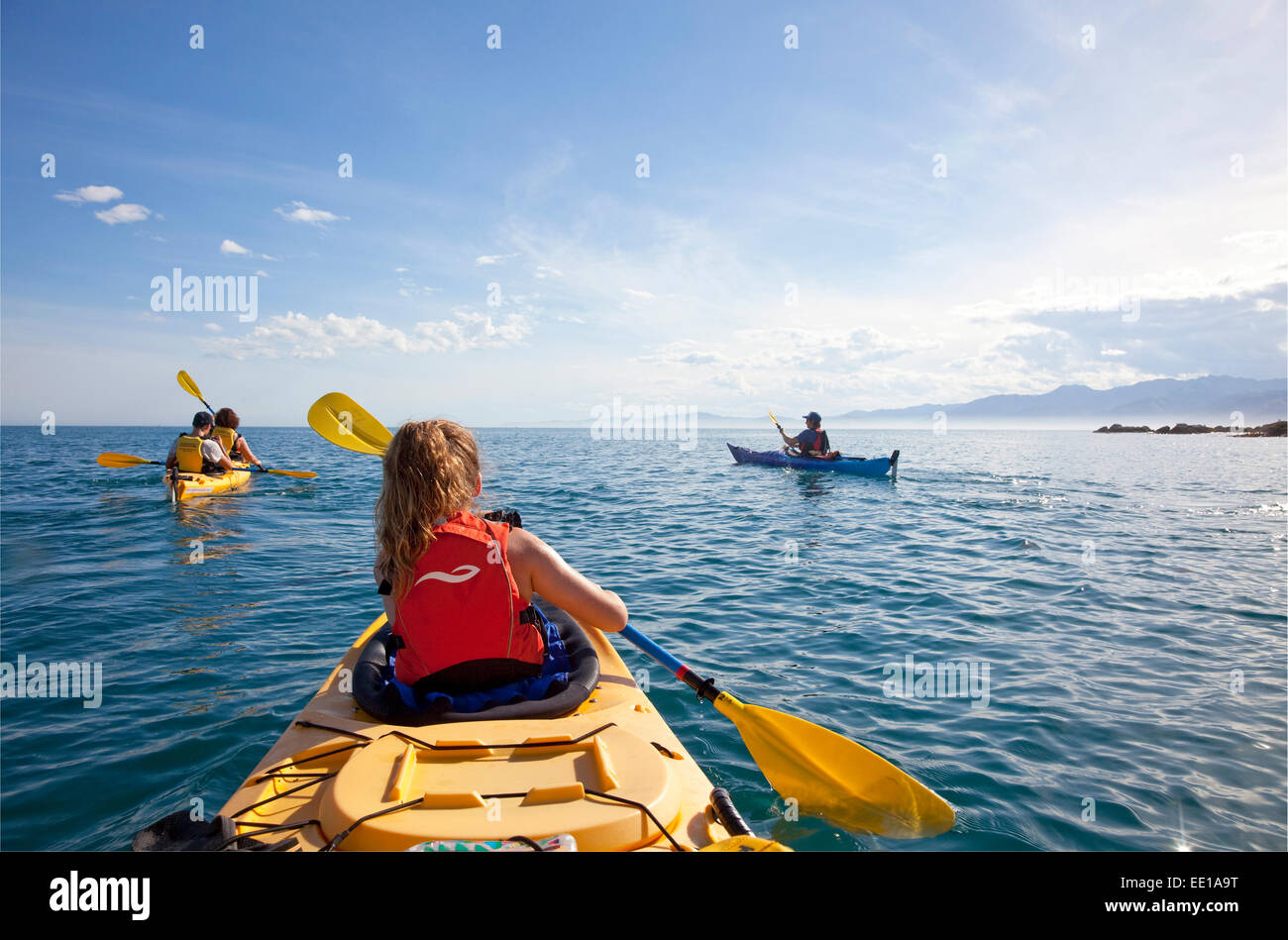 Family Sea kayaking off Kaikoura, New Zealand Stock Photo