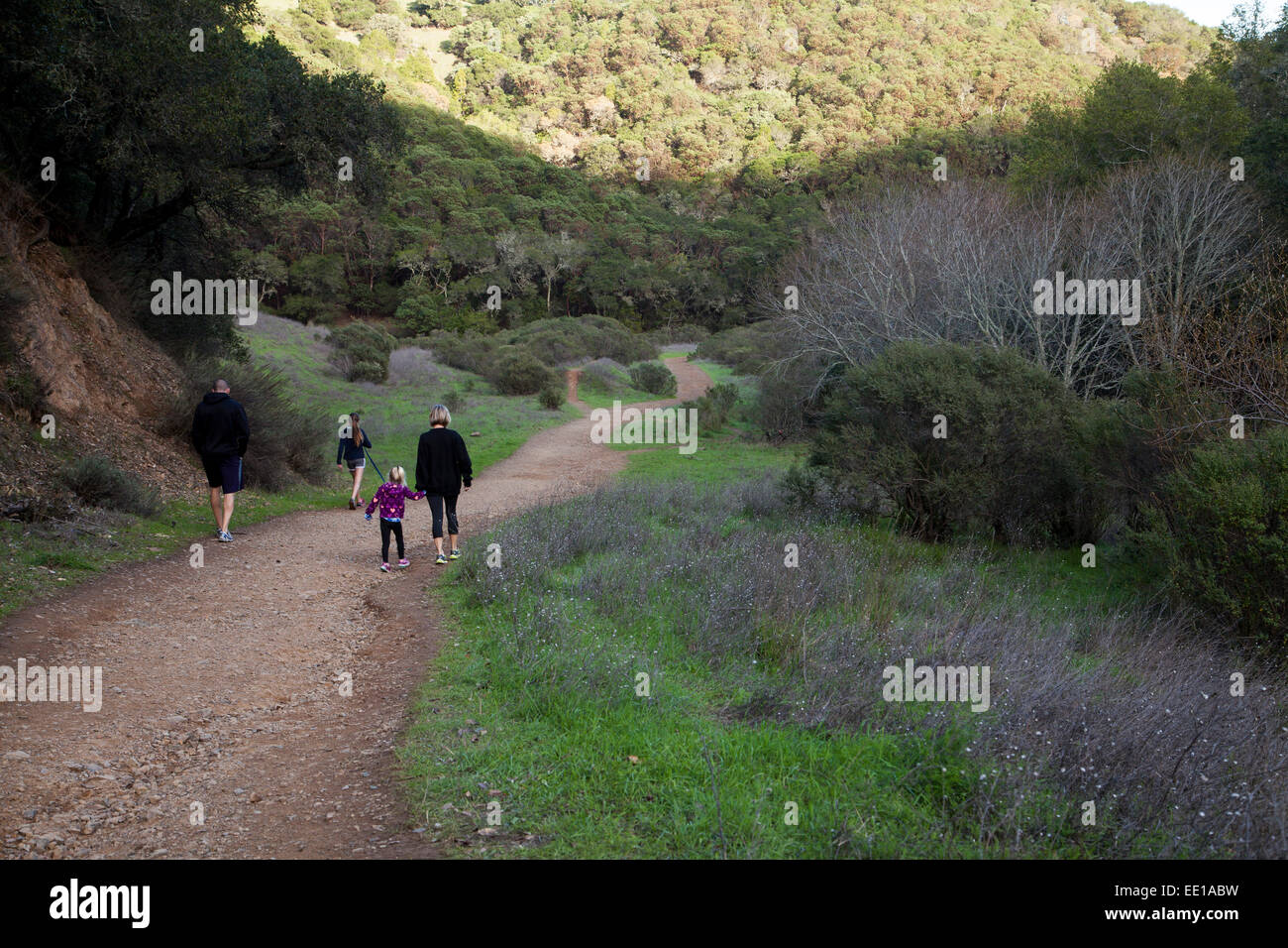Family hiking on a trail in Novato, California, USA Stock Photo