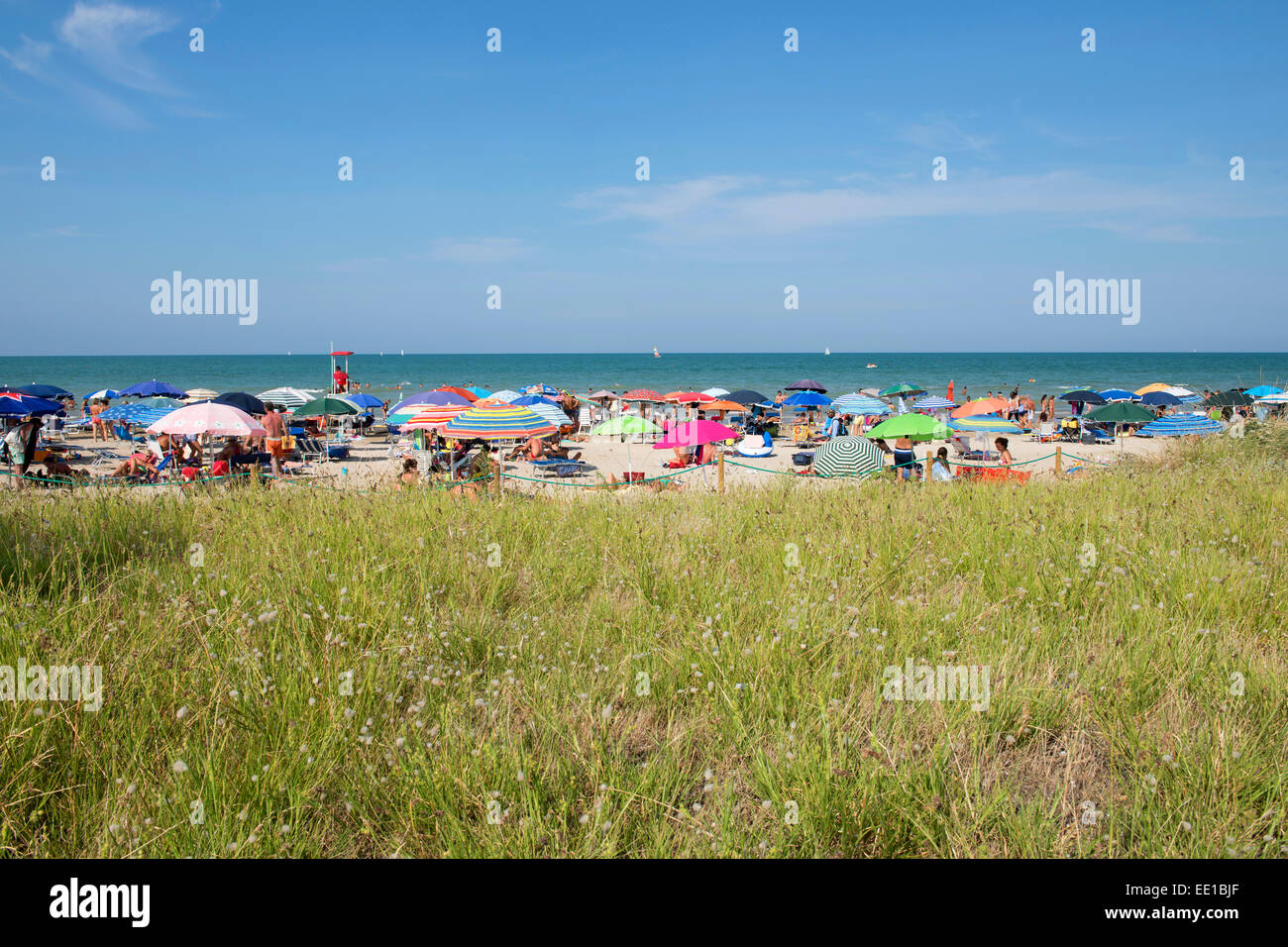 Sea and a sandy beach with sunshades, grass at the front, Senigallia, Province of Ancona, Marche, Italy Stock Photo